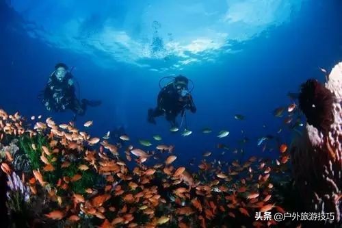 海洋探險知識：絕大部分人，對大海還一無所知，讀懂此文了解海洋