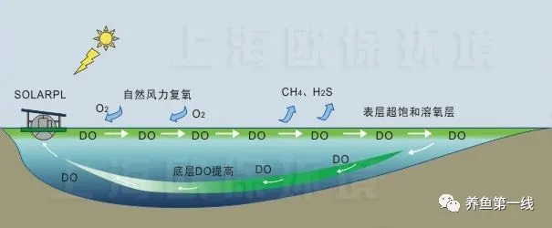 養(yǎng)殖水體中溶解氧的變化規(guī)律及其影響溶氧變化的因素