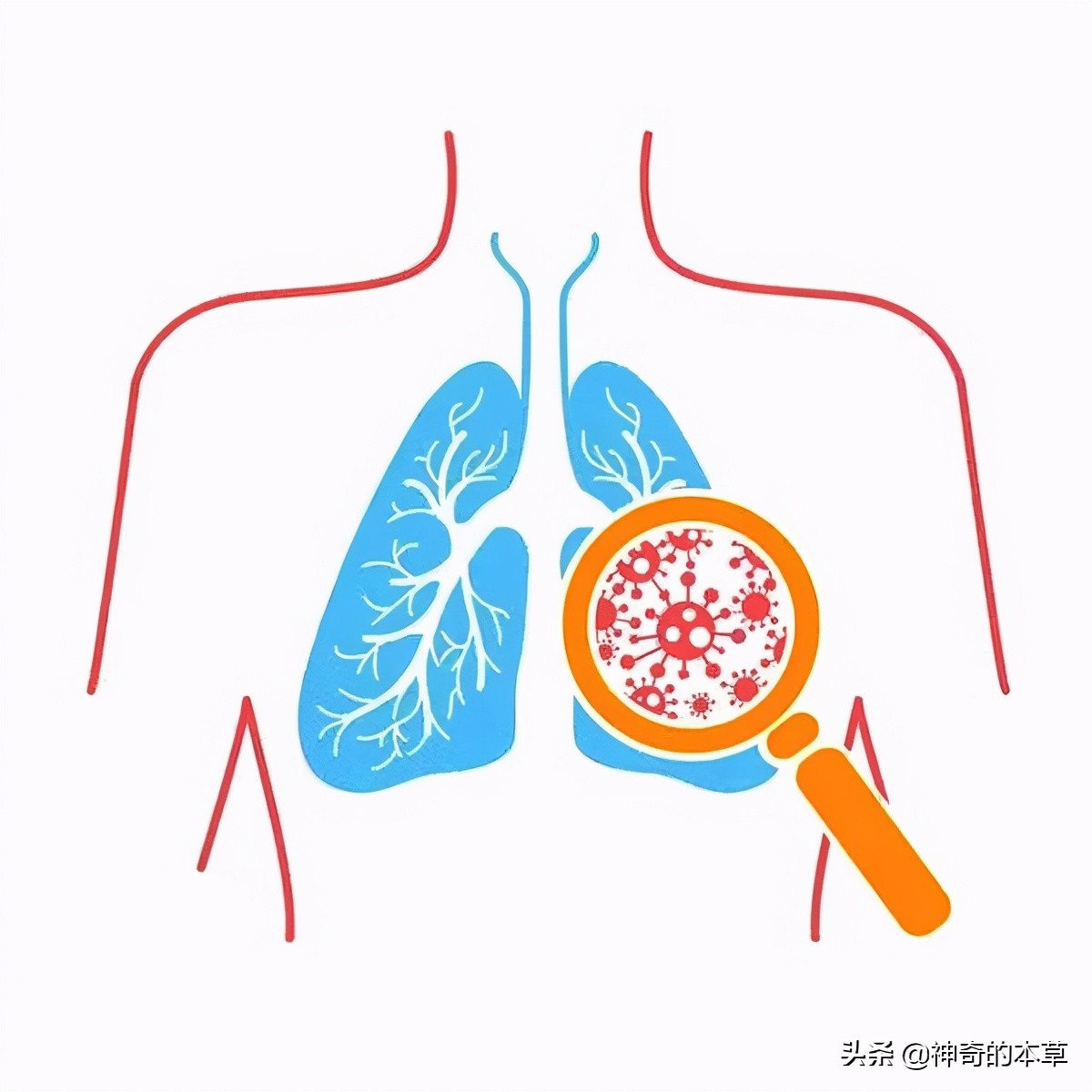 What complications can tuberculosis cause? - iNEWS