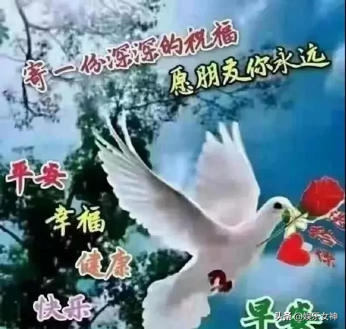 新版早上好问候图片清晨问候朋友，问候大家早上好暖心祝福句子图片