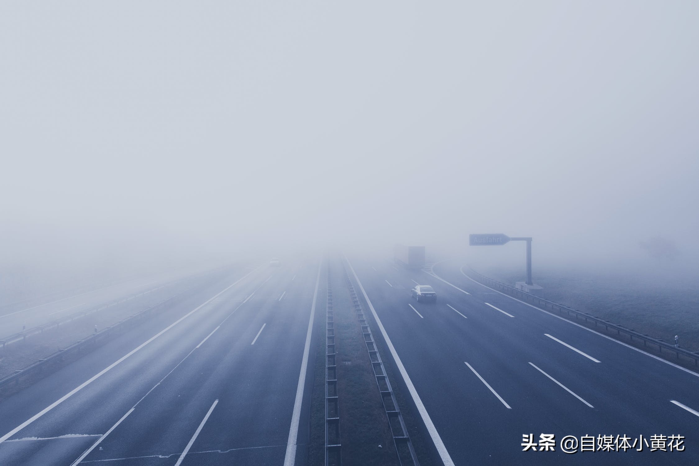 自媒体平台是什么？新手小白看过来