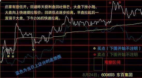 北大女博士罕见发声：如果有50万资金，高分红的