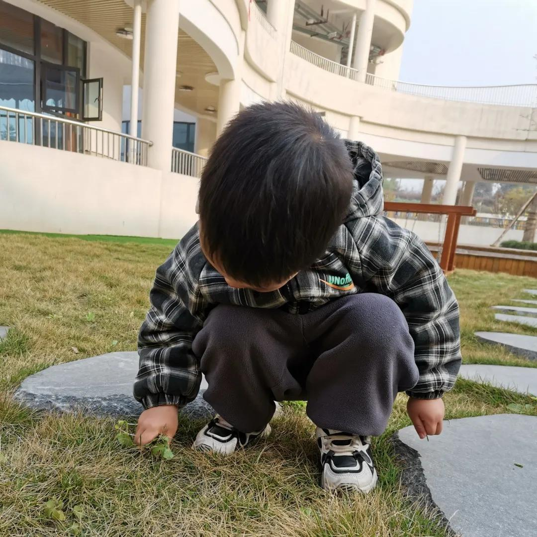 学习雷锋好榜样，童心传递正能量丨天府新区宁安幼儿园学雷锋活动