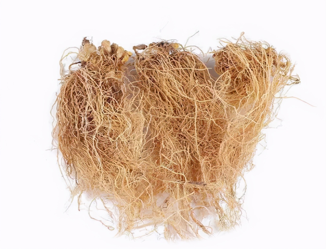 春天鼻炎经常犯...这7种治疗鼻炎的中药，值得收藏