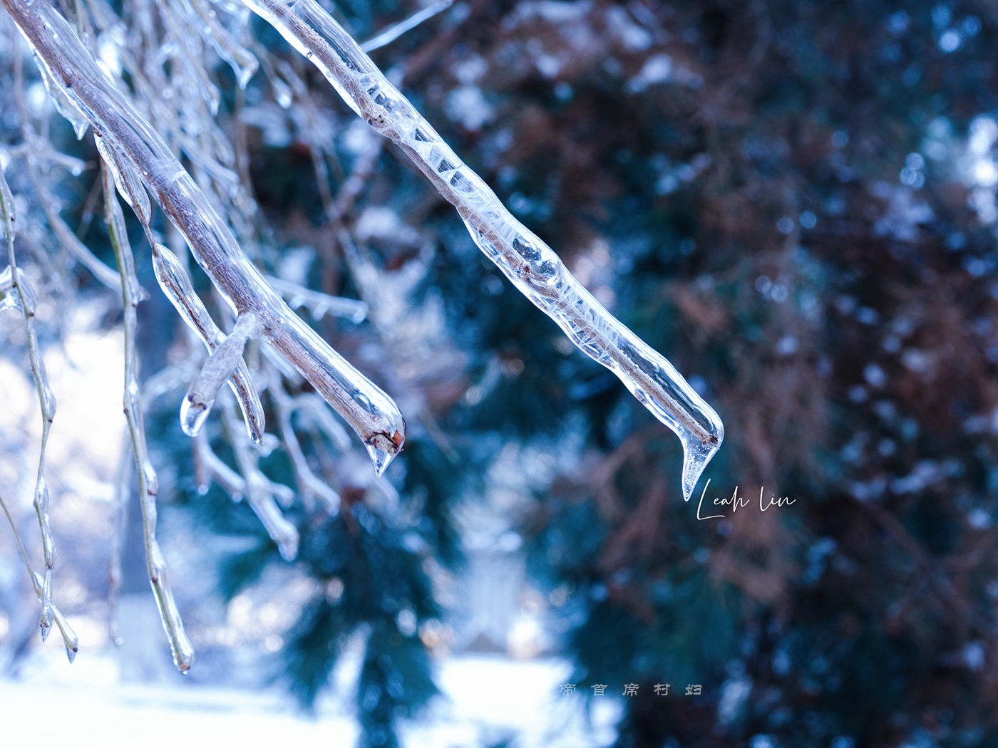 长春惊现百年不遇冰挂，冰雪奇缘太惊艳，连本地中年人都说没见过