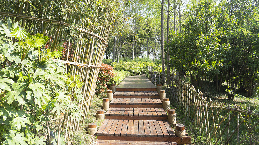 当完全不会拍照的媳妇儿上手测试荣耀30 Pro，你