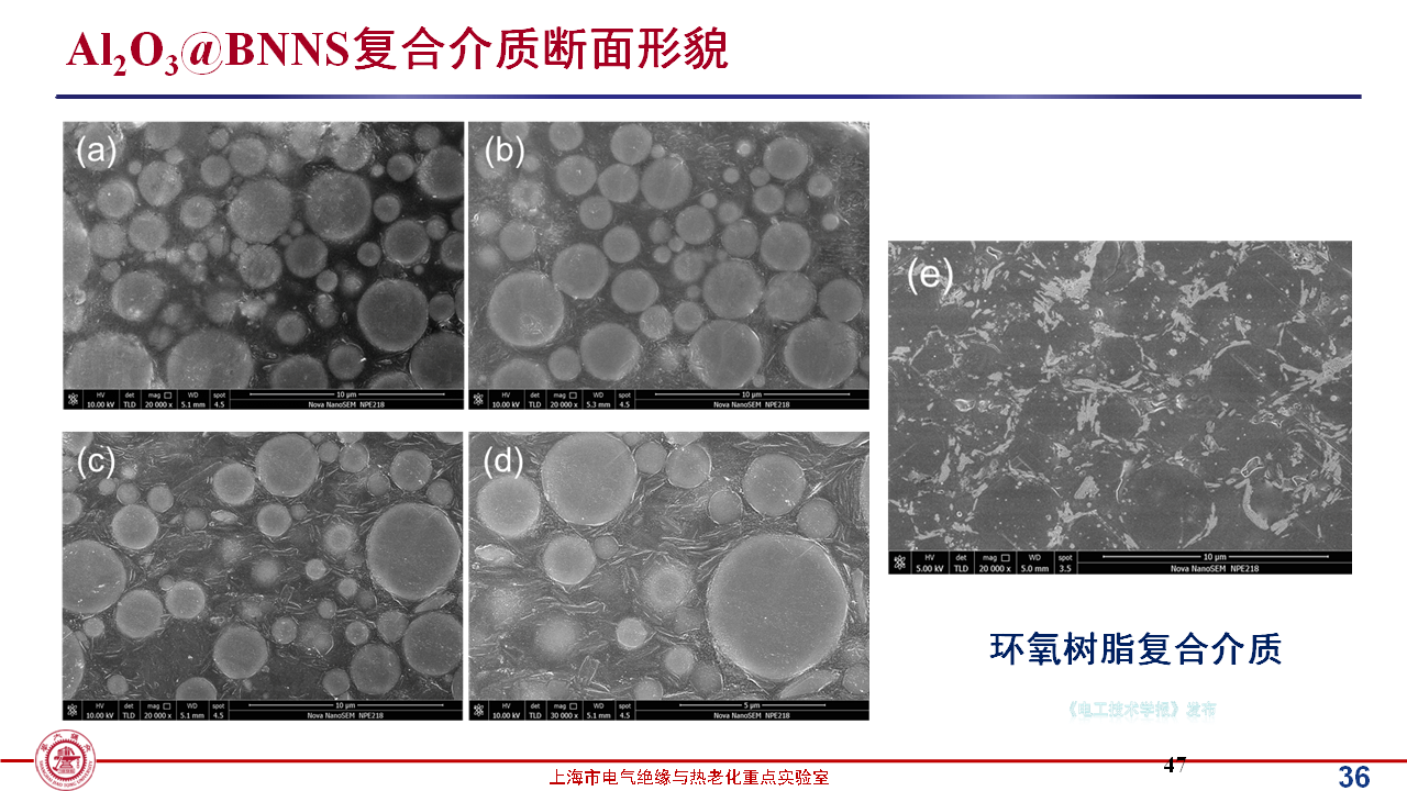 上海交通大學(xué)黃興溢教授：導(dǎo)熱絕緣復(fù)合電介質(zhì)中的界面設(shè)計與實證