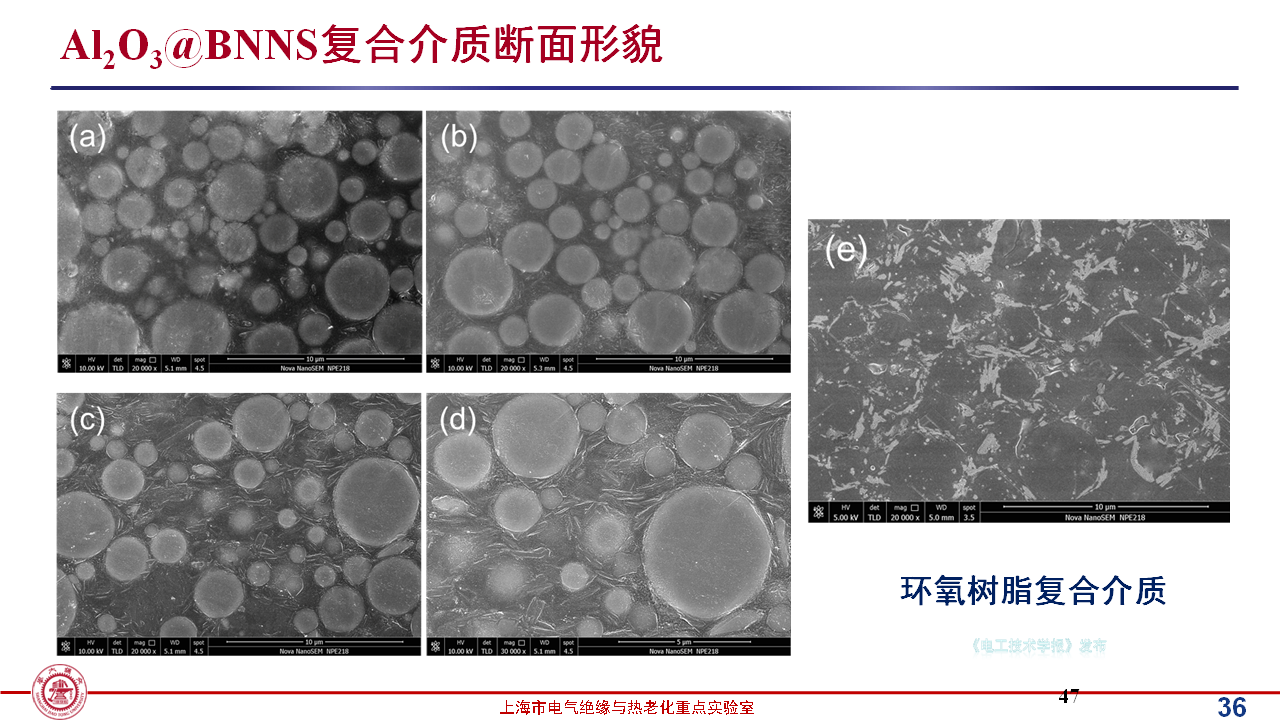 上海交通大学黄兴溢教授：导热绝缘复合电介质中的界面设计与实证