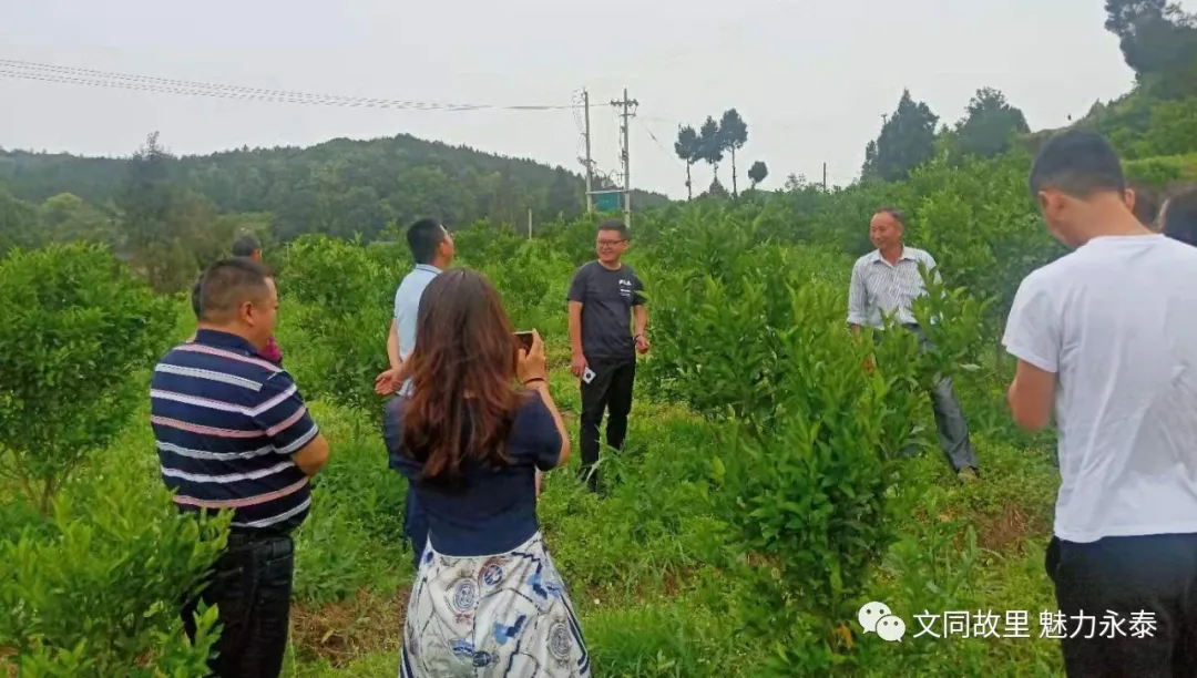永泰镇一周工作动态及群众近期需关注事项