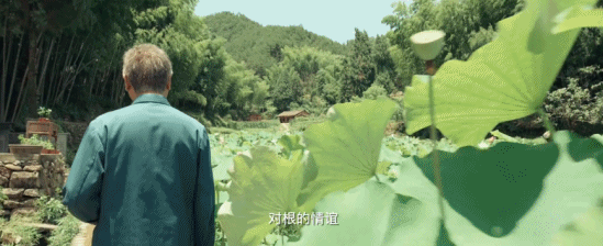 十一想玩不知道去哪？这些《我和我的家乡》拍摄地值得打卡