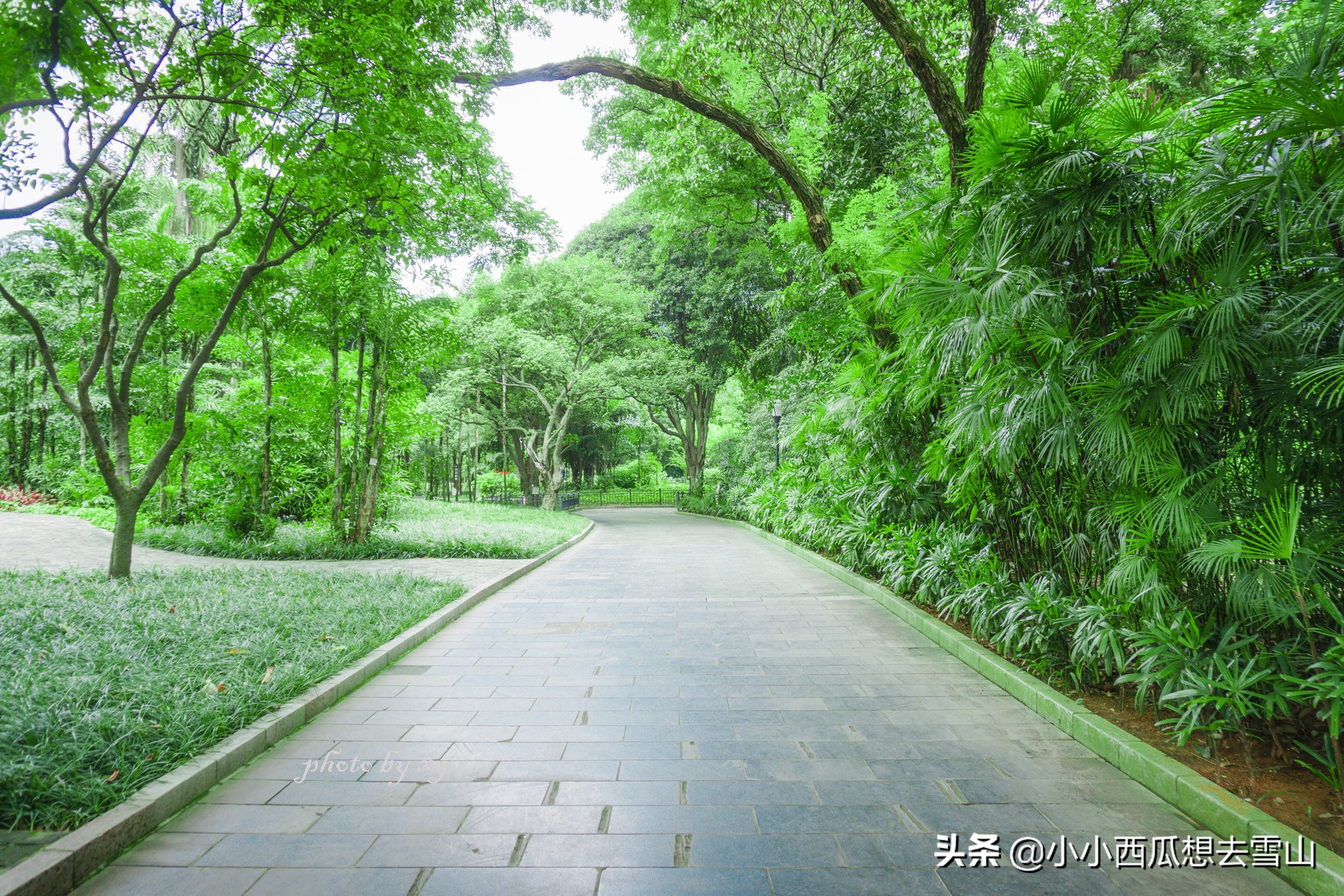 廣西唯一一個(gè)國(guó)家重點(diǎn)公園，就藏柳州，為4A級(jí)景區(qū)竟免費(fèi)對(duì)外開放