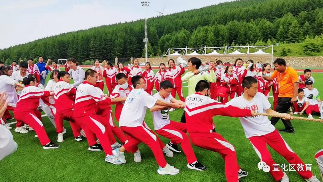 ������������Сѧ���꼶��ҵ������Ӱ