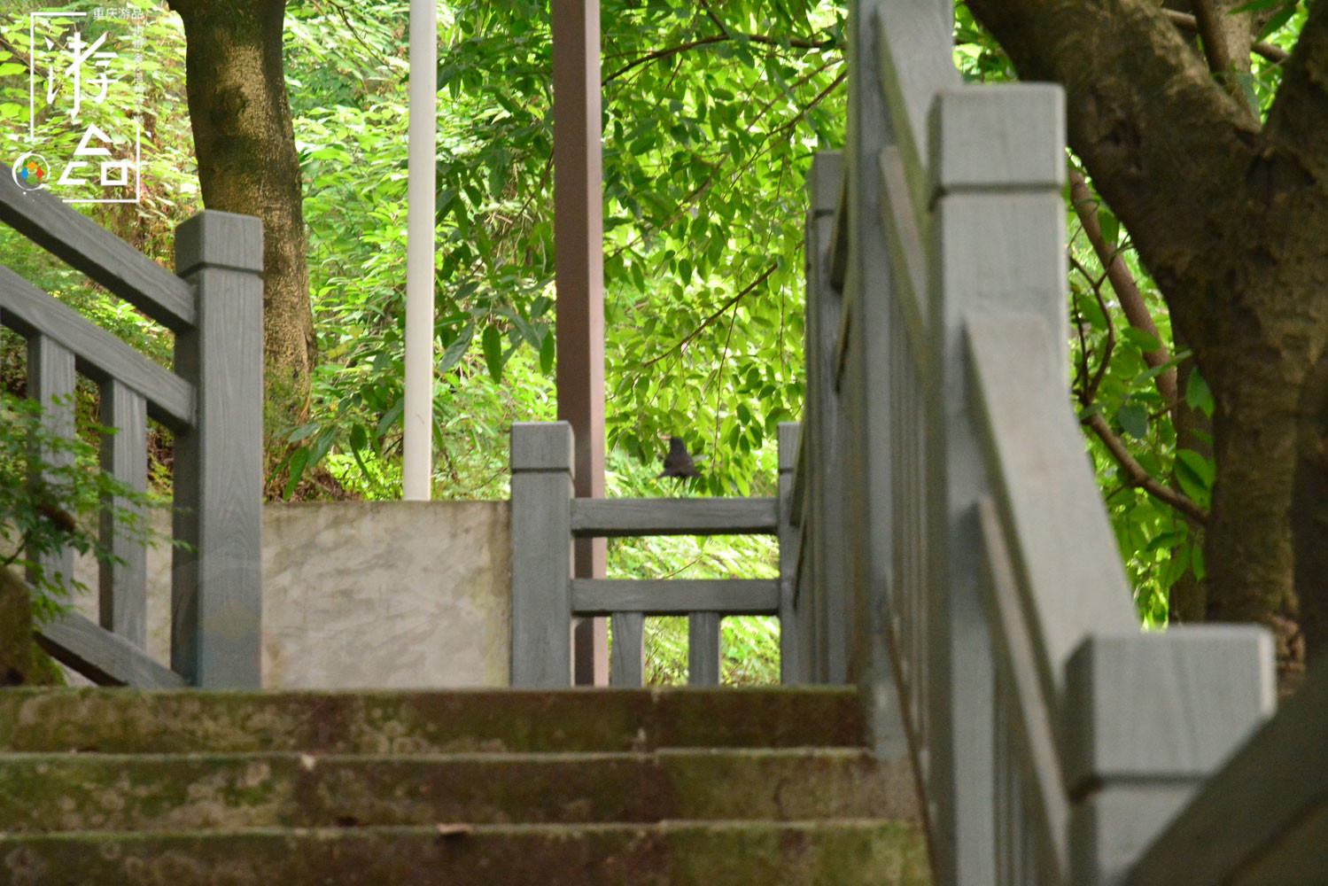 在重庆佛图关寻找“巴山夜雨”，爬完数不尽的台阶，结果令人失望