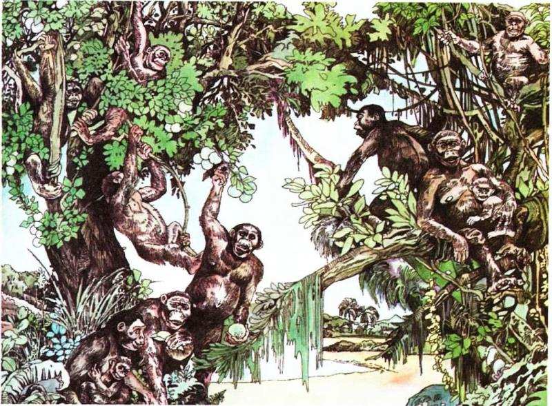 Why do humans have more hair than other parts of the hair?Why is hair so special? iNEWS