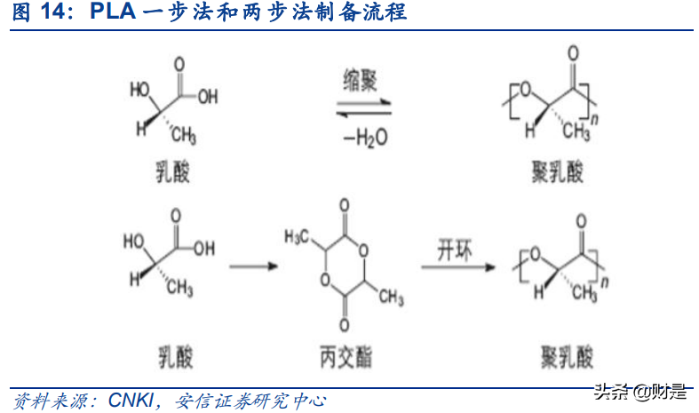可降解塑料行业专题报告：政策驱动下，可降解塑料放量在即