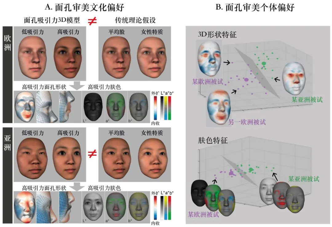 University of Glasgow Zhan Jiayu and others use 3D models to accurately ...