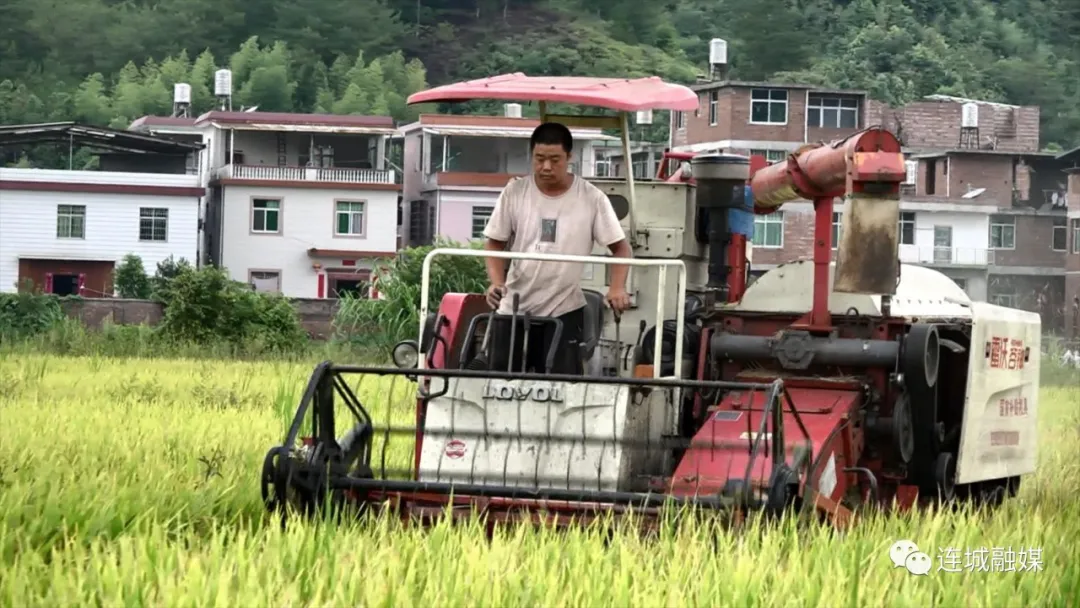 又到一年丰收时 农机助力早稻收割
