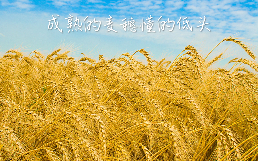 Python正則表達式保姆式教學，帶你精通大名鼎鼎的正則