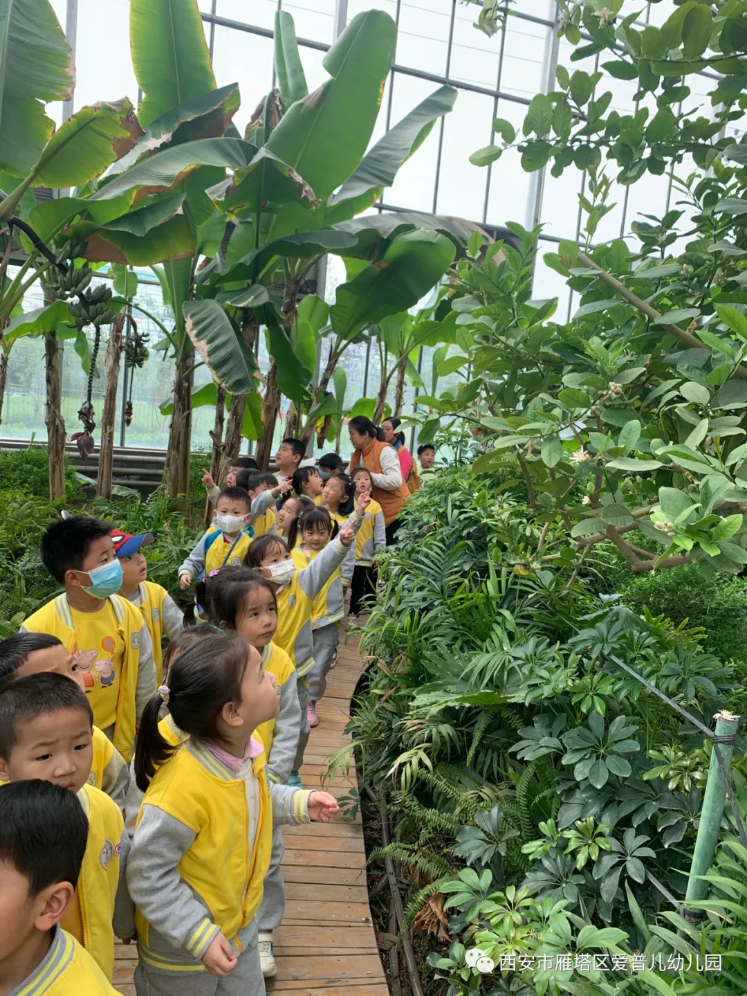 ����عˡ����ն��׶�԰�а�����ѧ��ʵ�߽���δ��