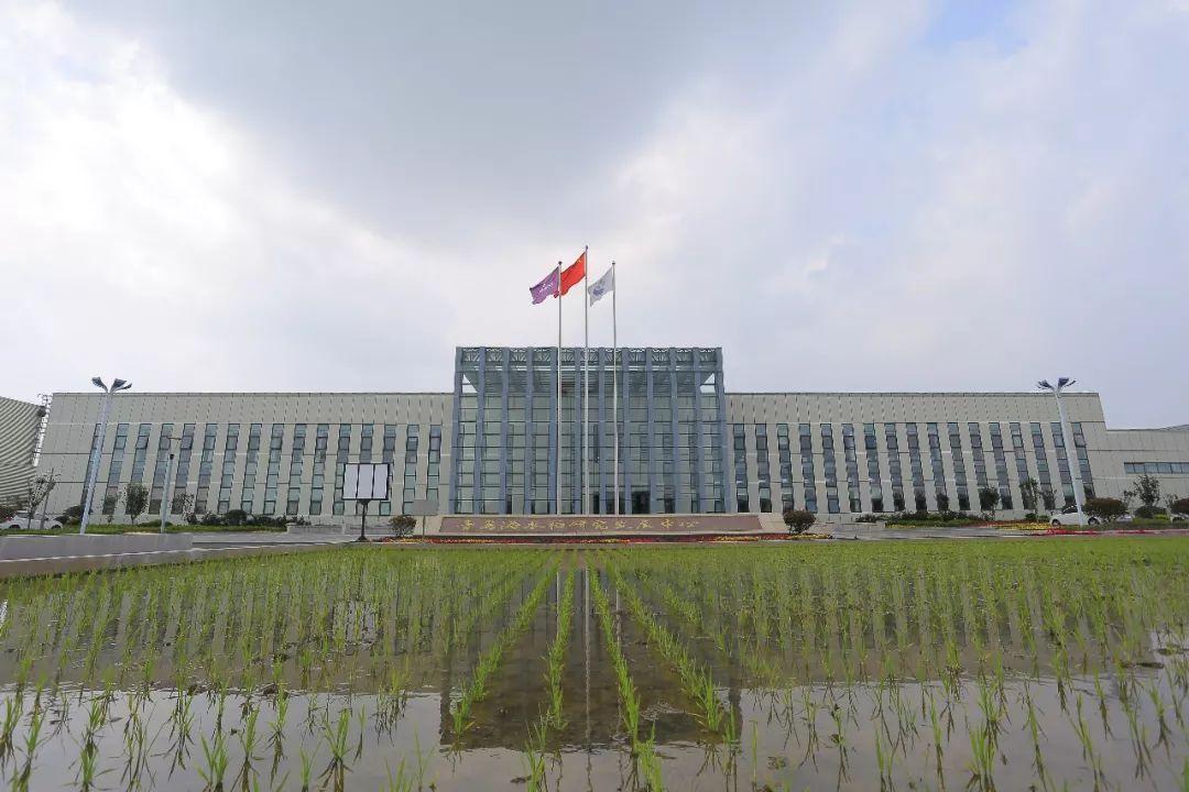 送别袁隆平！他8年前留下的那个毕生愿望，“临走”前实现了吗？