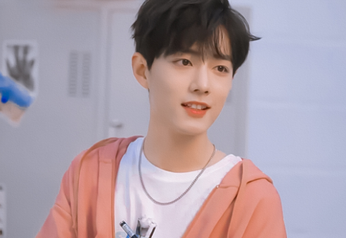 TFboys，肖战，黄圣依张雨绮，吴昕谢娜，荷尔蒙男星