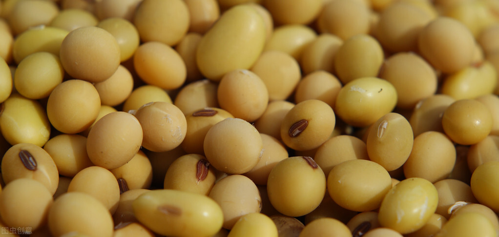 下跌潮扩大！玉米跌破1.4元，大豆大跌3毛，粮价何时能反弹？