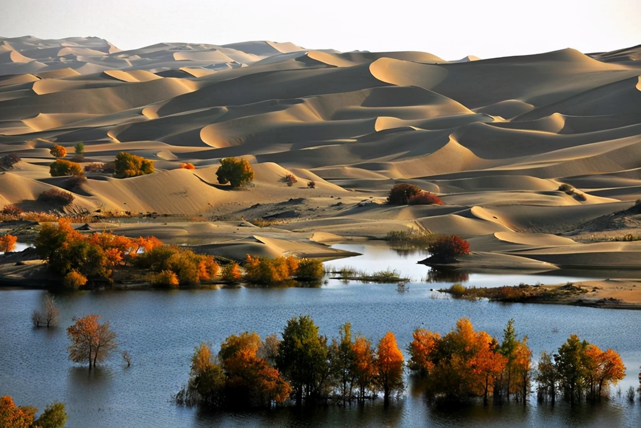 Since deserts can absorb a lot of carbon dioxide, why do we need to