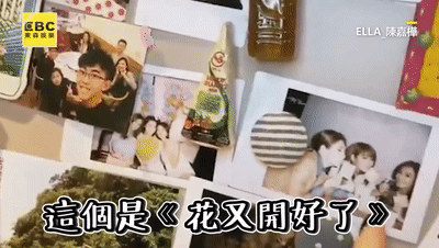 Ella直播大方曬自家，最沒豪宅樣卻最讓人心動