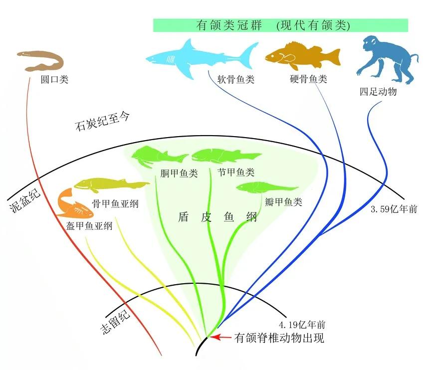 完全意外！两个濒危物种的不小心结合，竟造就了“神奇物种”