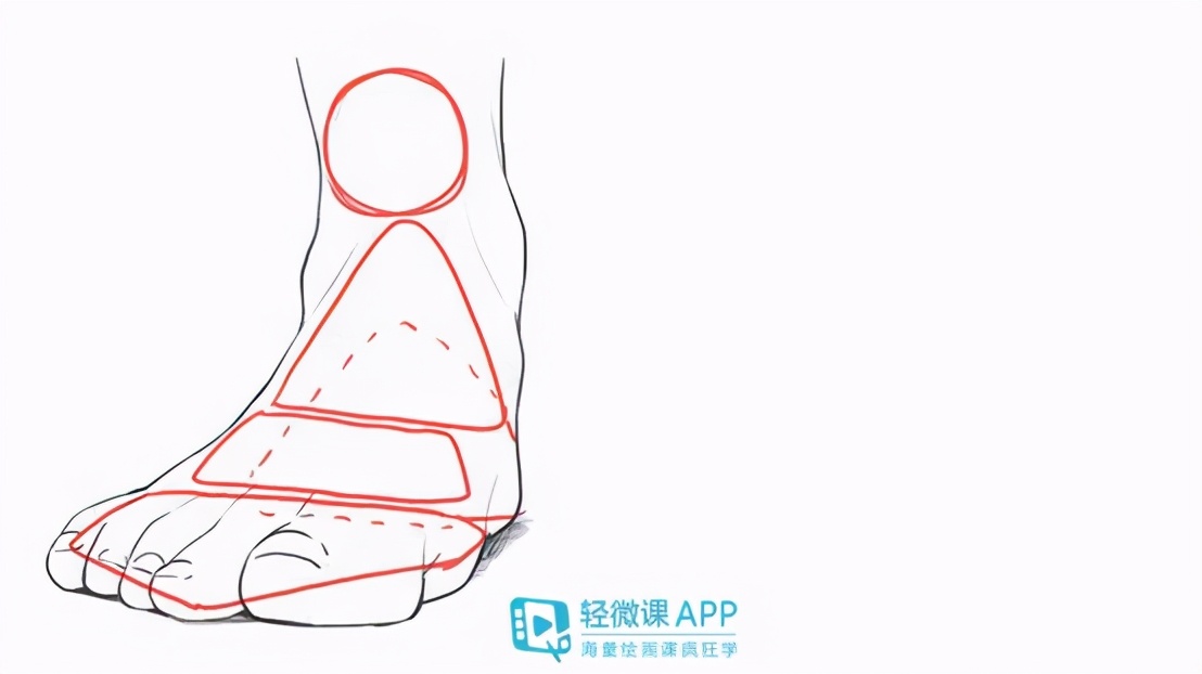 腳部怎麼畫 腳部結構繪畫教程 學畫畫上輕微課 Mdeditor