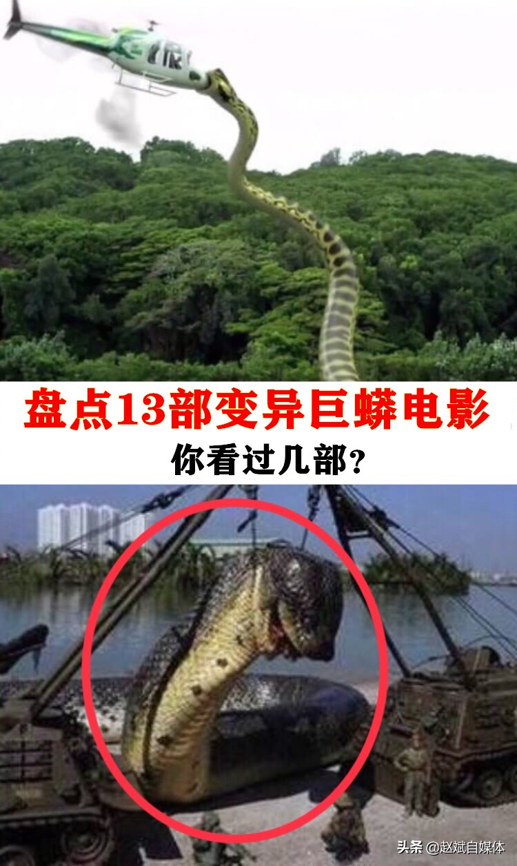 变异巨蟒图片