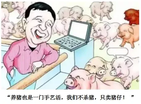 我们可不杀猪，我们只负责养猪、卖猪！