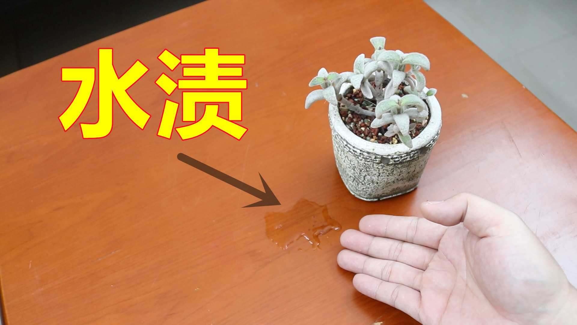 生活知識：家里的茶幾不要長時間擺放3類物品