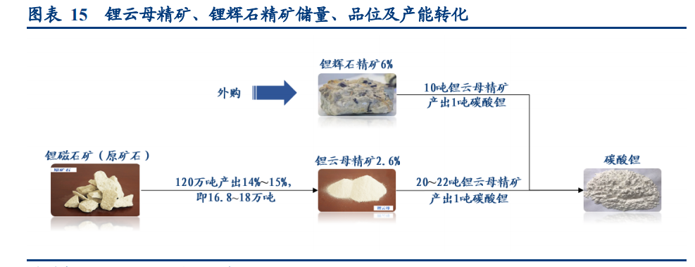 江特电机专题研究报告：涅槃重生的锂云母采选冶一体化龙头