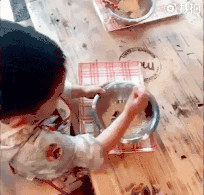 应采儿官宣二胎：她把Jasper教得这么好，全靠这9条家规