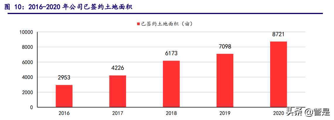 顺丰控股深度解析：立体布局细分赛道，加速迈进数字供应链时代