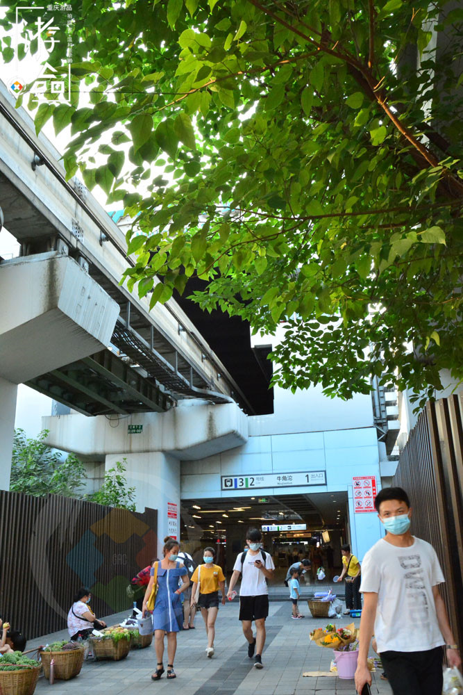 因祸得福的重庆奇遇：被赶下公交后，我发现了牛角沱的美