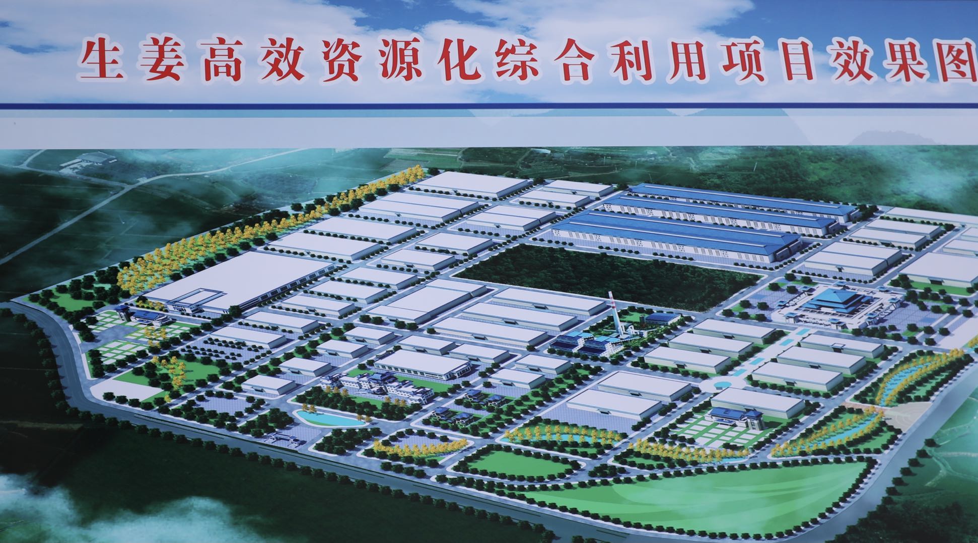 临沂市农业农村局到沂水县调研乡村振兴、美丽乡村示范片区创建工作