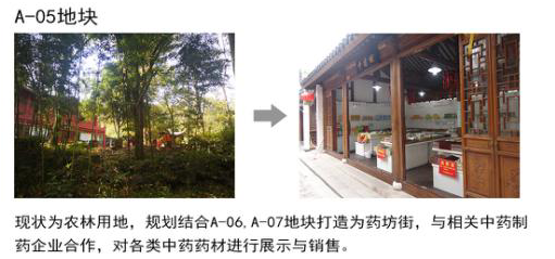 义乌交旅集团竞得丹溪文化园地块，打造中医药养生文化产业旅游区