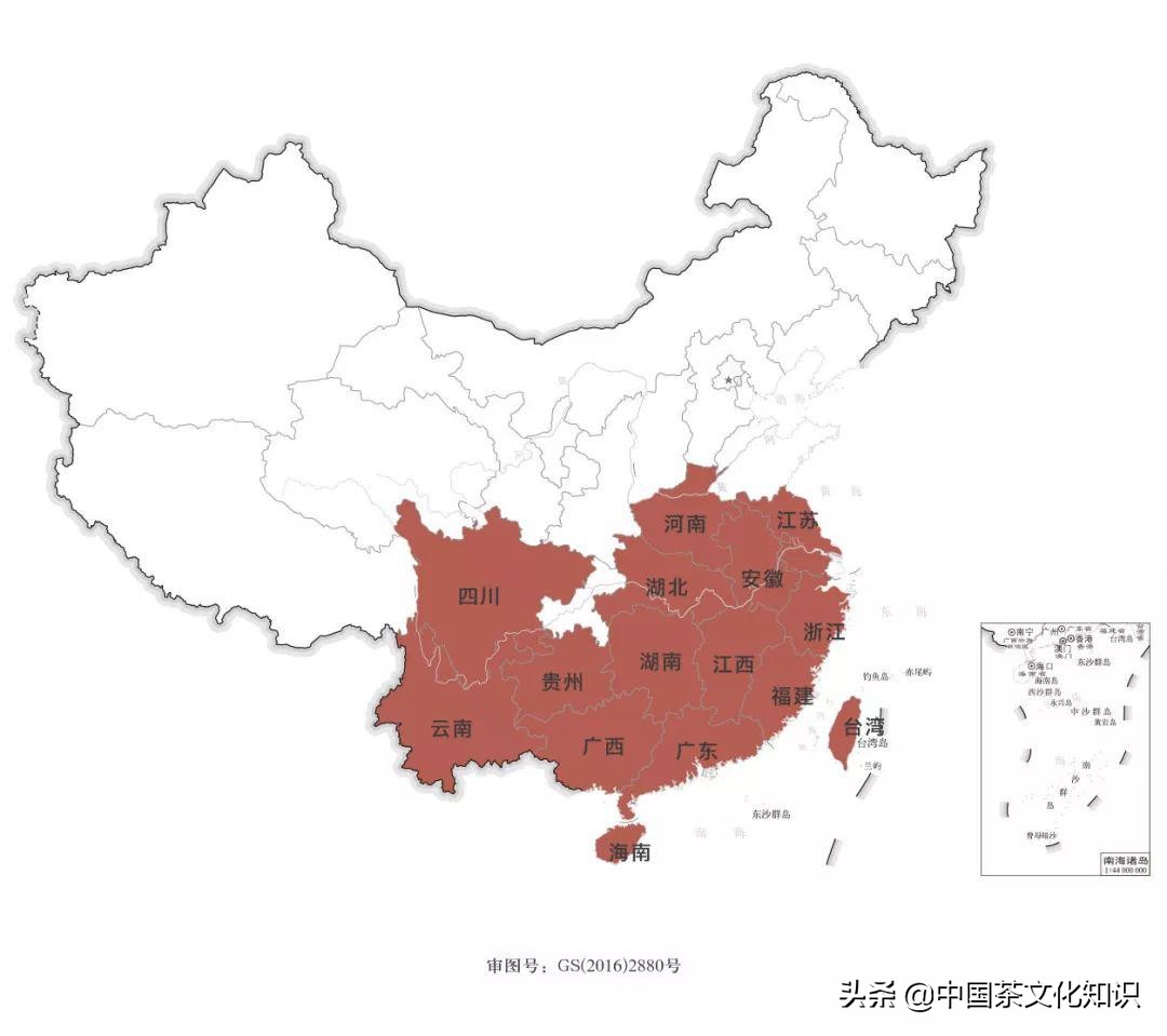 一篇文章看完全中國99%的茶（一定要收藏）