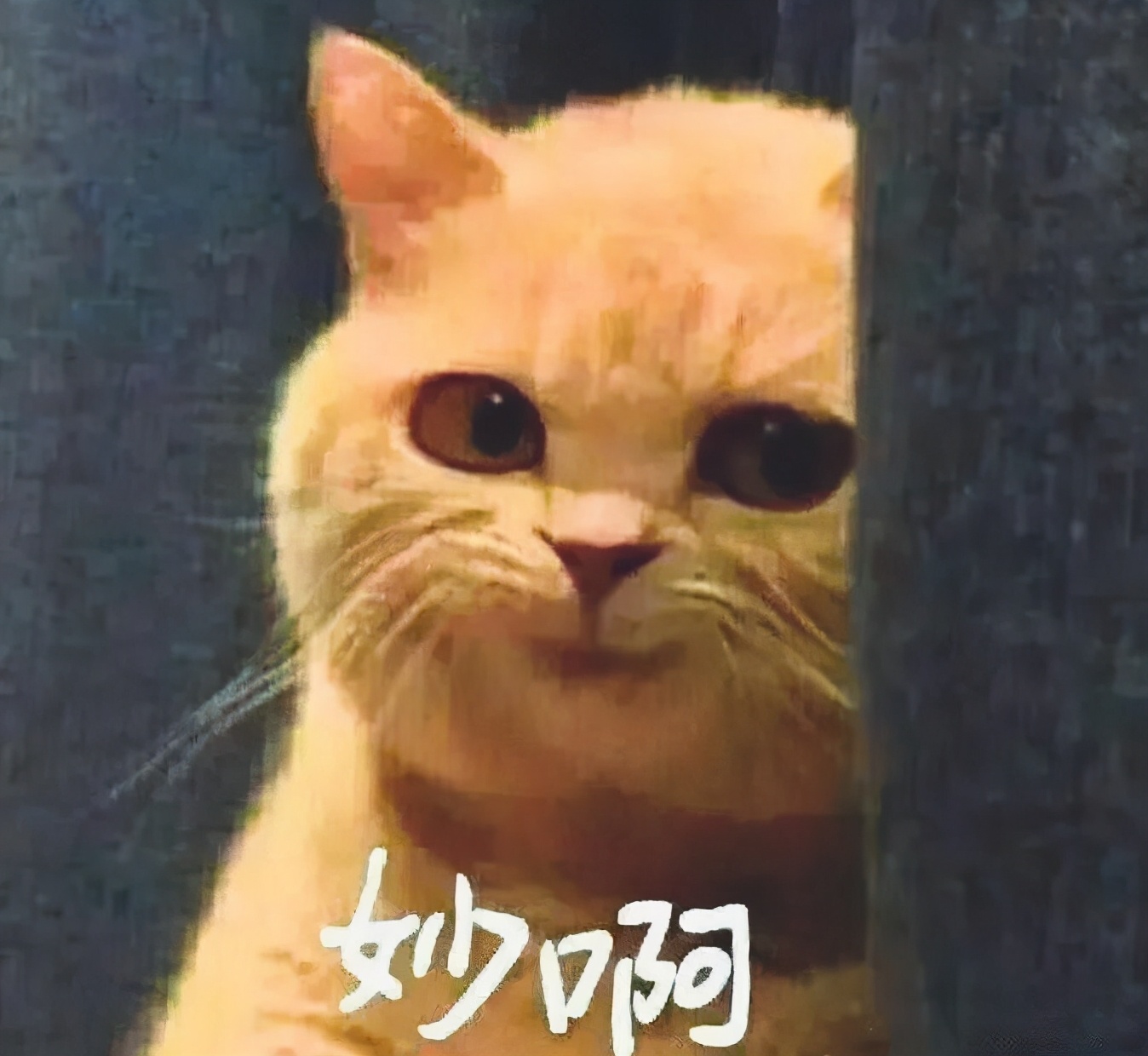 中医药版“凡尔赛文学”大赏，爱了~爱了