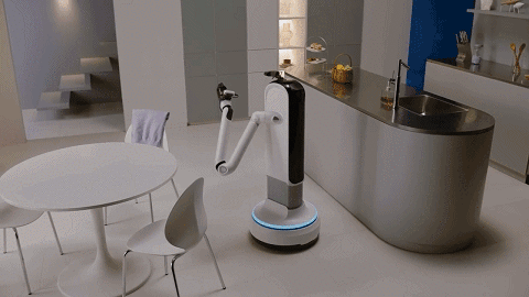  AI home robot