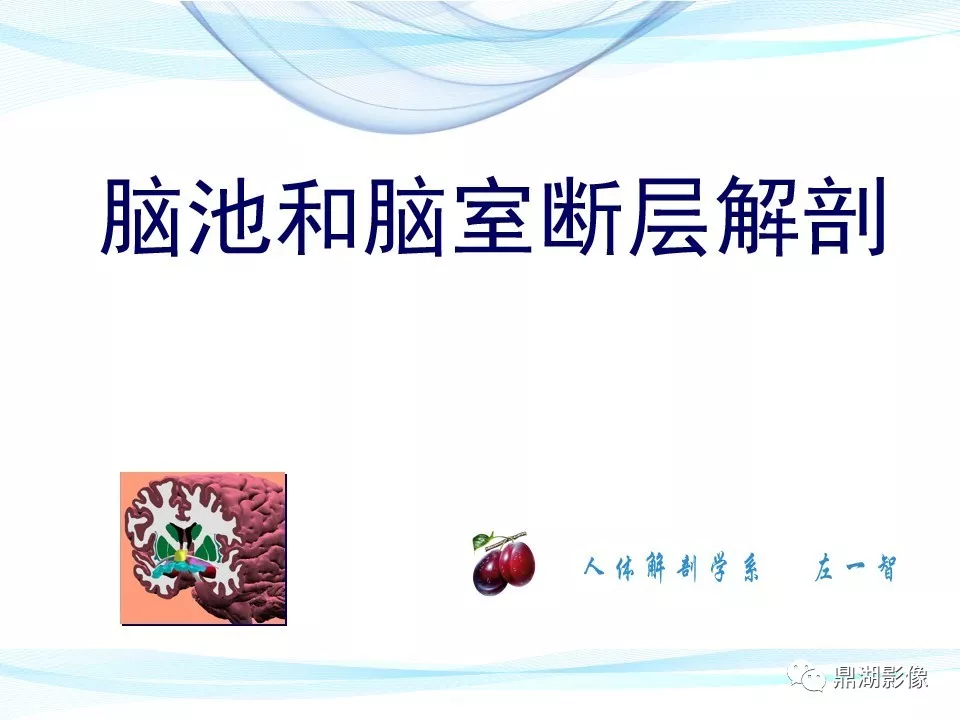 超全详解：脑池和脑室断层解剖