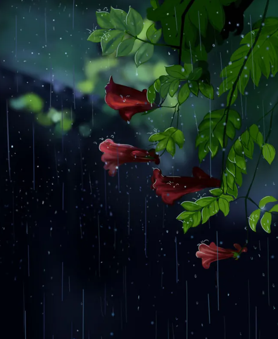 让小雨驱散夏日的炎热-第19张图片-非凡网