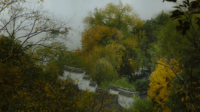 片中演员90%是导演亲戚，一波“虎”操作后，竟