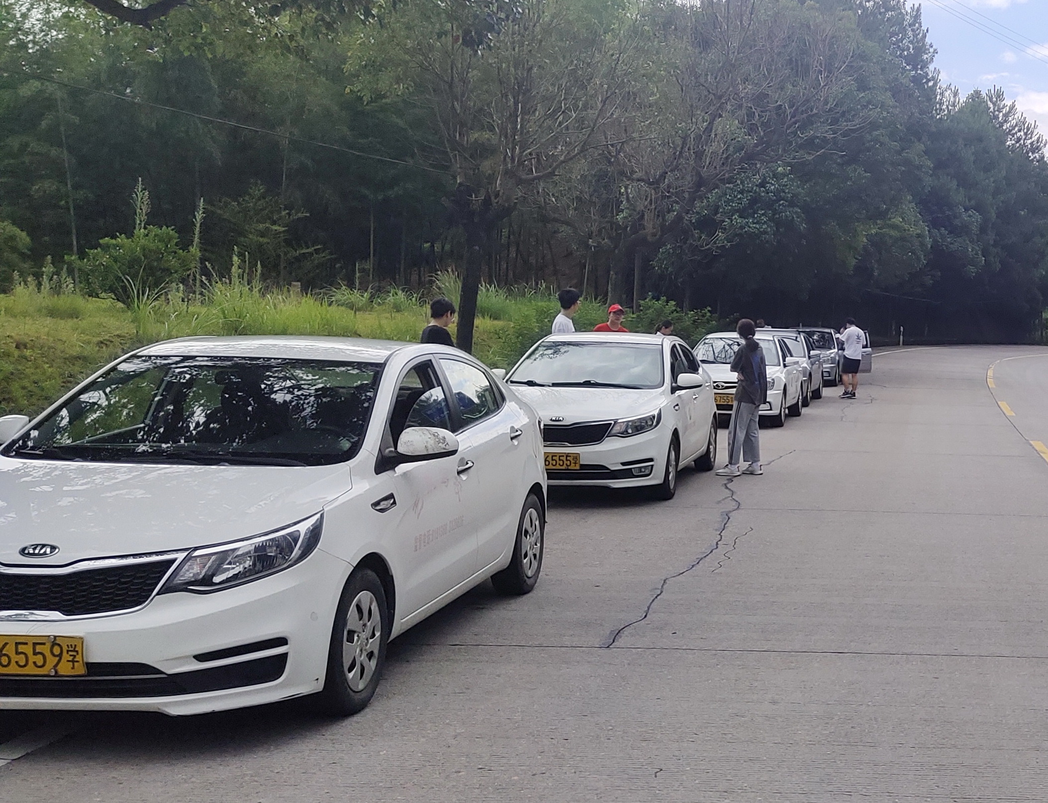 连城：暑期现大学生驾培热