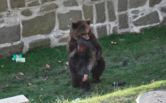 饲养员遭熊攻击身亡原因现场图曝光！上海野生动物园熊吃人视频全过程 游客讲述上海野生动物园游览经历