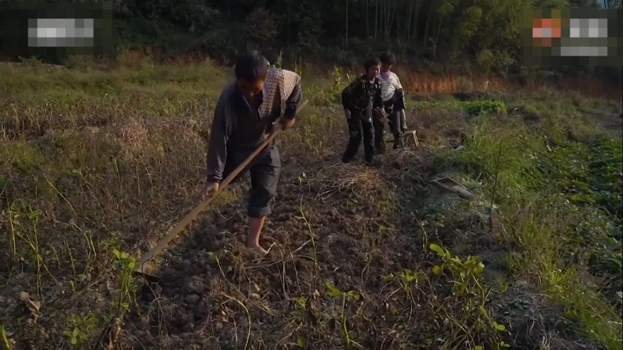 13岁小马云回农村！8岁养家换别墅，辍学和美女直播他爸不关心