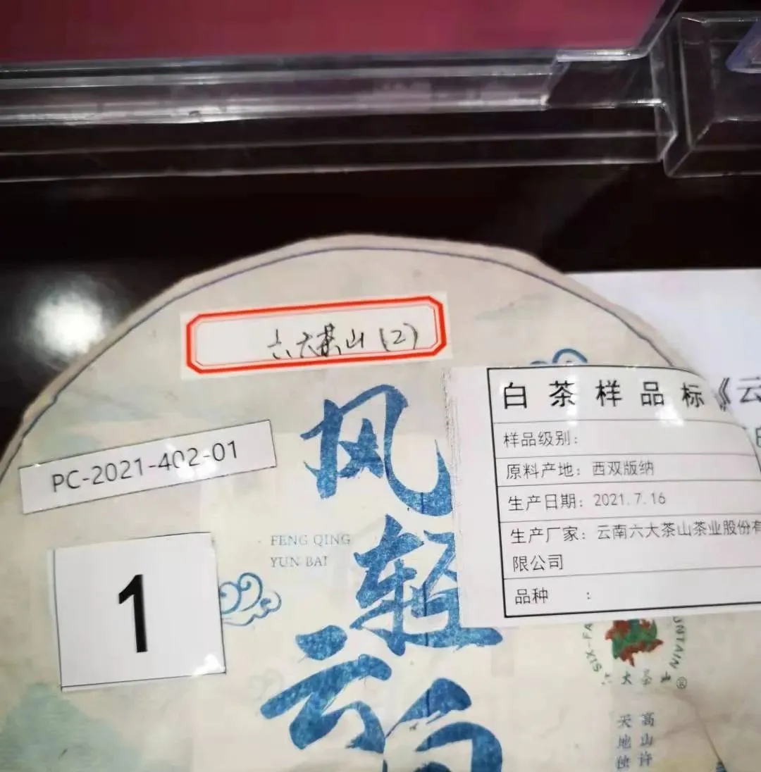 六山积极配合云南省白茶团体标准制定工作,助力云南白茶产业发展