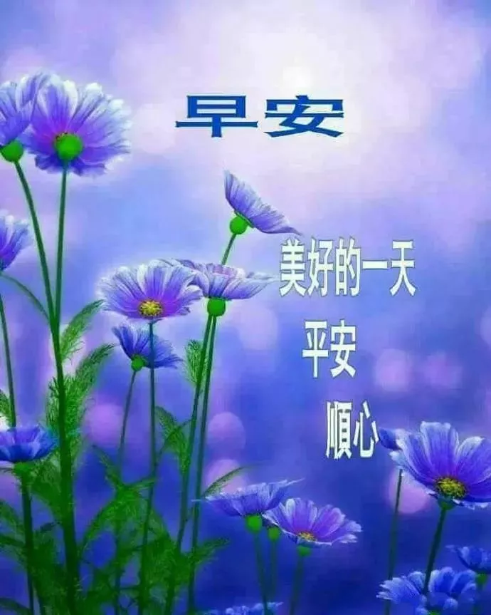 微信早晨好图片动画大全 早上好问候语阳光句子图片